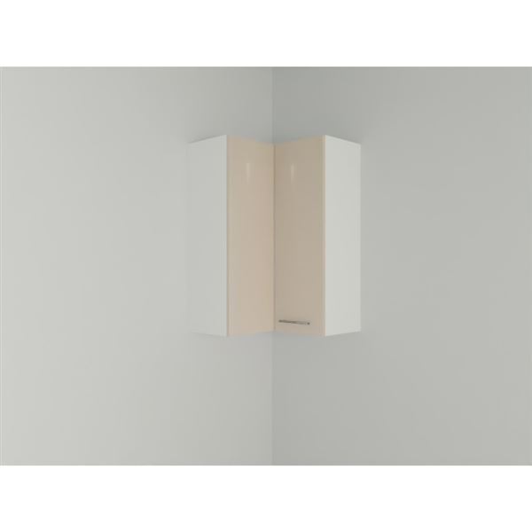 Horná skrinka EXPRES WE6503 š65 x v100cm rohová - satin vysoký lesk